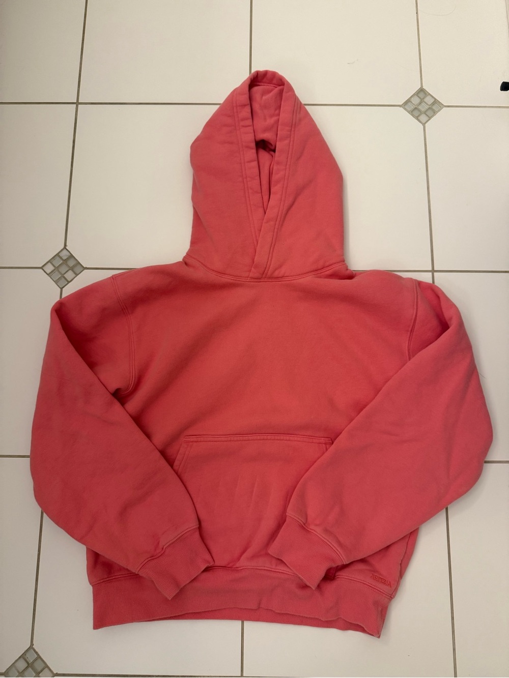 Aritzia hoodie